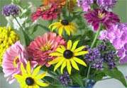 garden supplies, garden accessories, garden, fresh bouquet, fresh, dried flowers, flowers, supplies, accessories, bouquet, summer, perennials, fields, summertime, overflowing, blooming, gather, stroll, gardens, throughout, dried, arrangements
